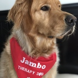 Entry image for JAMBO