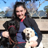 Entry image for Farmer and Fusion