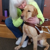 Entry image for Yukon