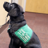 Entry image for December