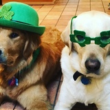 Entry image for Jerry and River Rudy