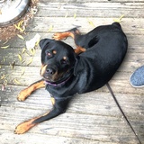 Entry image for Lexie