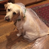 Entry image for Marie