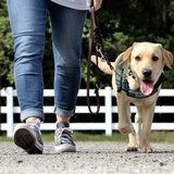 Entry image for Omega