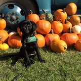 Entry image for Lubbock