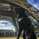 Entry image for Camry