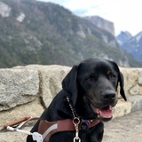 Entry image for Hodges