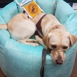 Entry image for Joyce