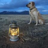 Entry image for Ibiza