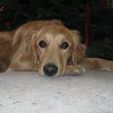 Entry image for Dani