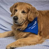 Entry image for Siefkin