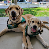 Entry image for Cinta and Frenchy