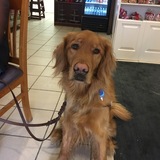 Entry image for Nottingham