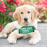 Entry image for Jessilou