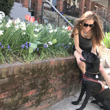 Entry image for Tank