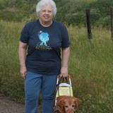 Entry image for Aloha