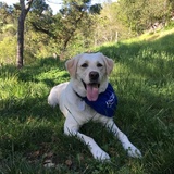 Entry image for Jordan