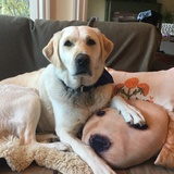 Entry image for Jordan