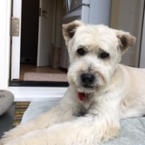 Entry image for Martin