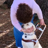 Entry image for Wilbur