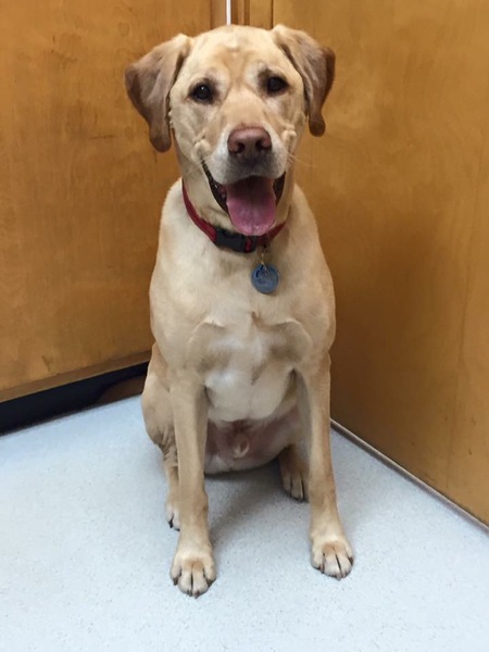 Entry image for Jake (from State Farm). Clicking this image will show a larger photo