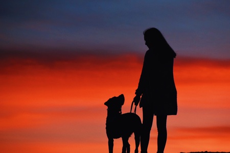 Entry image for Vanderbilt. Clicking this image will show a larger photo