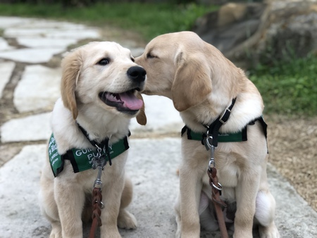 Entry image for Neon and Plaza. Clicking this image will show a larger photo