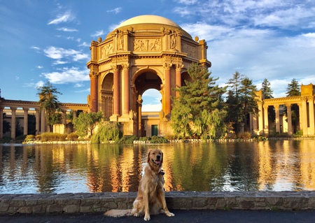 Entry image for JAMBO. Clicking this image will show a larger photo