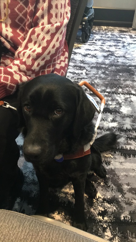 Entry image for Feather . Clicking this image will show a larger photo