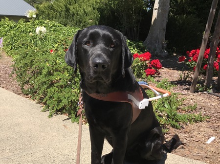 Entry image for T.J.. Clicking this image will show a larger photo