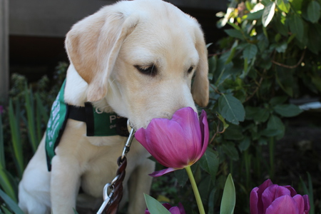 Entry image for Fusion. Clicking this image will show a larger photo