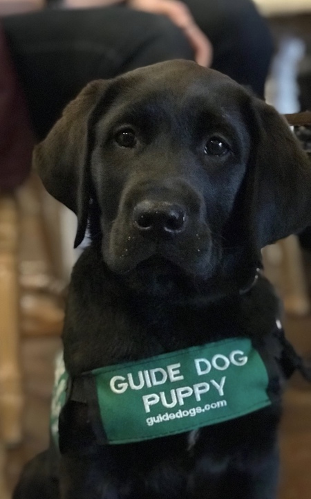 Entry image for Aesop. Clicking this image will show a larger photo