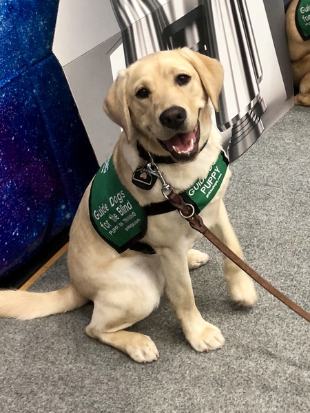 Entry image for Olena. Clicking this image will show a larger photo