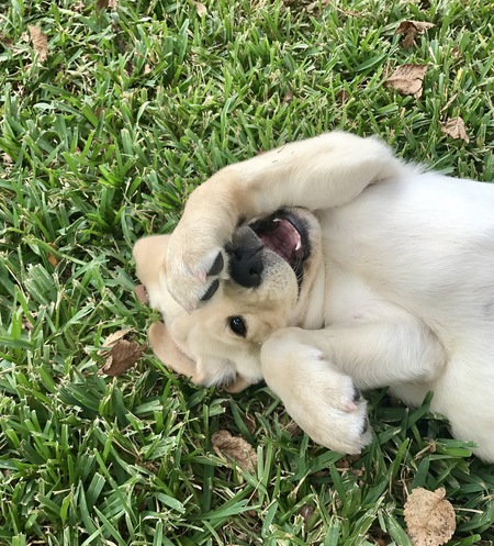 Entry image for Olena. Clicking this image will show a larger photo