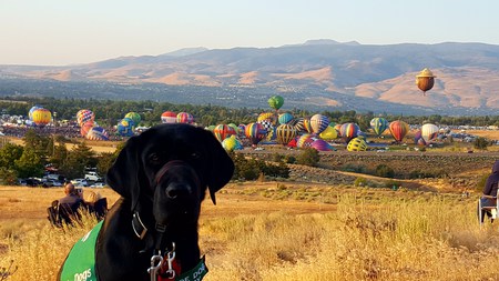 Entry image for Mark. Clicking this image will show a larger photo