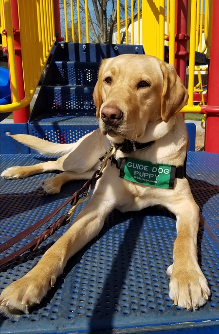 Entry image for Navy. Clicking this image will show a larger photo