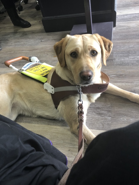 Entry image for Beta. Clicking this image will show a larger photo