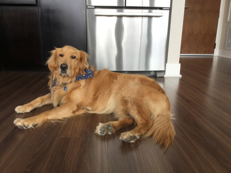 Entry image for Brandy. Clicking this image will show a larger photo