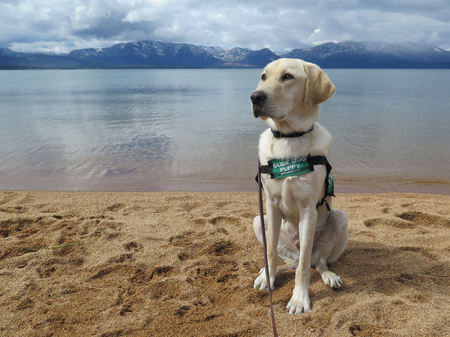 Entry image for Rody. Clicking this image will show a larger photo