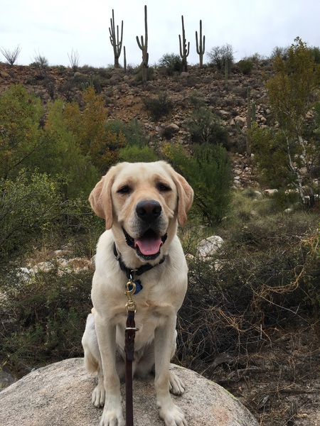 Entry image for Winslow. Clicking this image will show a larger photo