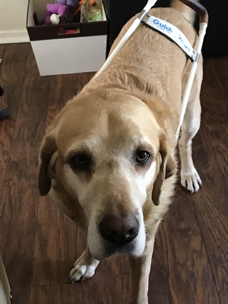 Entry image for Newcastle. Clicking this image will show a larger photo