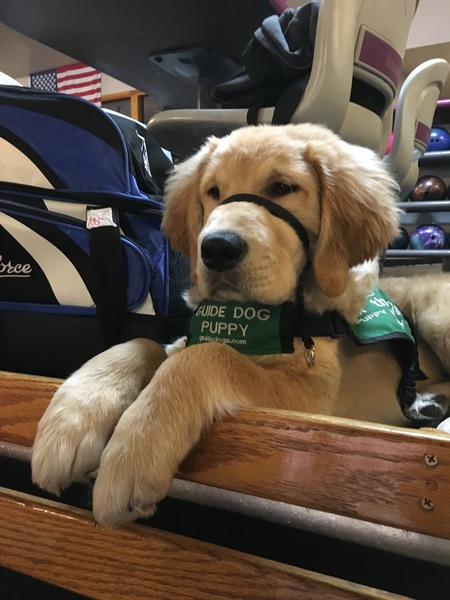 Entry image for Anvil. Clicking this image will show a larger photo