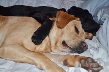 Entry image for Atrus and Dario. Clicking this image will show a larger photo