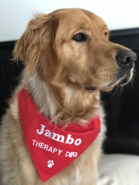 Entry image for JAMBO. Clicking this image will show a larger photo