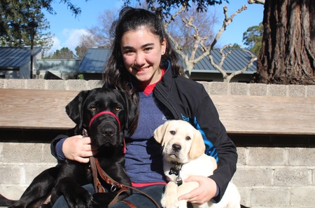 Entry image for Farmer and Fusion. Clicking this image will show a larger photo