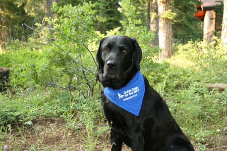 Entry image for Lucio. Clicking this image will show a larger photo