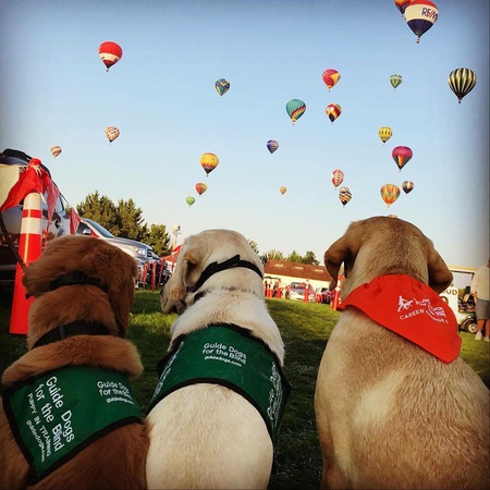 Entry image for Woon. Clicking this image will show a larger photo