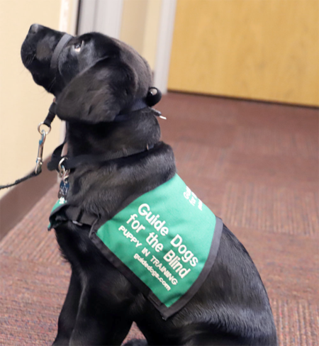 Entry image for December. Clicking this image will show a larger photo