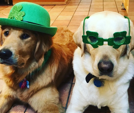 Entry image for Jerry and River Rudy. Clicking this image will show a larger photo