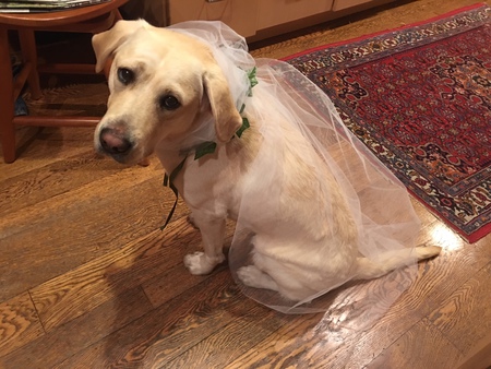 Entry image for Marie. Clicking this image will show a larger photo